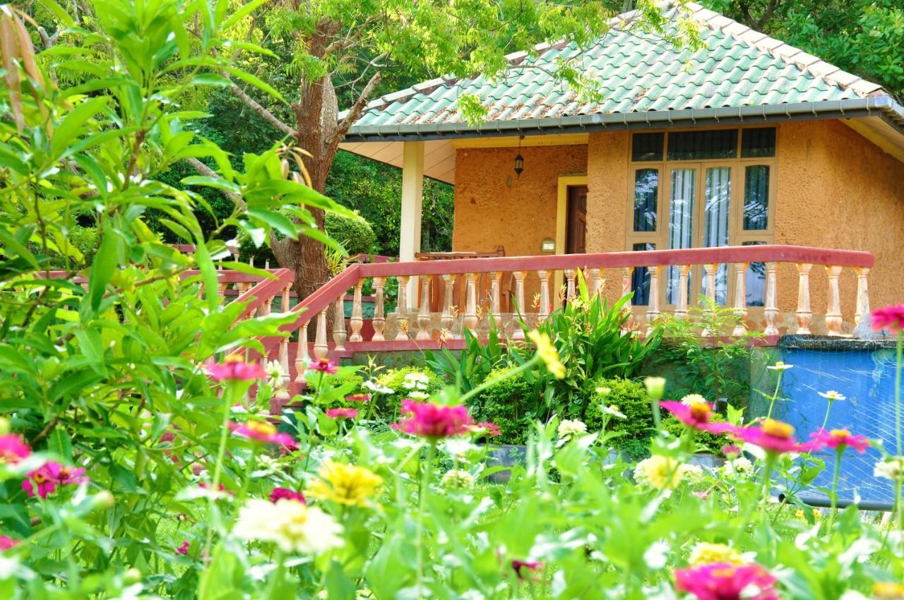 Kodigahawewa Forest Resort ティッサマハーラーマ エクステリア 写真
